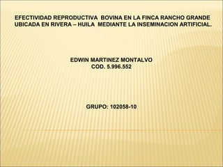 EFECTIVIDAD REPRODUCTIVA BOVINA EN LA FINCA RANCHO GRANDE
UBICADA EN RIVERA – HUILA MEDIANTE LA INSEMINACION ARTIFICIAL.

EDWIN MARTINEZ MONTALVO
COD. 5.996.552

GRUPO: 102058-10

 