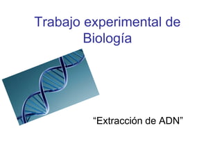 Trabajo experimental de
Biología
“Extracción de ADN”
 