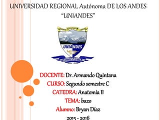 UNIVERSIDAD REGIONAL Autónoma DE LOS ANDES
“UNIANDES”
DOCENTE: Dr. Armando Quintana
CURSO: Segundosemestre C
CATEDRA: Anatomía II
TEMA: bazo
Alumno: Bryan Díaz
2015 - 2016
 