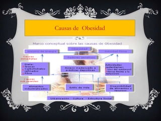 Causas de Obesidad
 