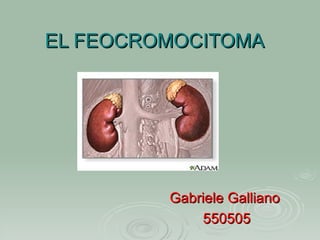EL FEOCROMOCITOMA




         Gabriele Galliano
             550505
 
