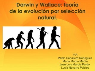 Darwin y Wallace: teoría
de la evolución por selección
natural.

1ºA
Pablo Caballero Rodriguez
María Martín Martín
Jose Luis Murcia Pardo
Lucía Navarro Palcios

 
