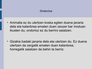 Ondorioa Animalia ez du ulertzen koska egiten duena janaria dela eta kalanbrea ematen duen zeozer bar moduan ikusten du, ondorioz ez du berriro saiatzen. Gizakia badaki janaria dela eta ulertzen du. Ez duena ulertzen da zergatik ematen duen kalanbrea, horregatik saiatzen da behin ta berriz. 
