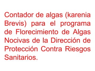 Contador de algas (karenia Brevis) para el programa de Florecimiento de Algas Nocivas de la Dirección de Protección Contra Riesgos Sanitarios. 