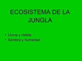 ECOSISTEMA DE LA JUNGLA Lluvia y niebla. Sombra y humedad.