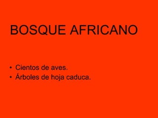 BOSQUE AFRICANO Cientos de aves. Árboles de hoja caduca.