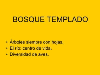 BOSQUE TEMPLADO Árboles siempre con hojas. El río: centro de vida. Diversidad de aves.