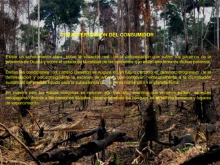 CARACTERIZACION DEL CONSUMIDOR



Existe un conocimiento claro sobre la situación real de la deforestación que sufren los páramos de la
provincia de Ocaña y sobre el estada de la calidad de las vertientes que están alrededor de dichos paramos.

Dadas las condiciones del cambio climático se augura en un futuro cercano el deterioro progresivo de la
deforestación y por consiguiente la escases de arboles que conllevan necesariamente a la disminución
sustancial del presido liquido para la subsistencia de los seres humanos en el planeta tierra.

En nuestro país las masas boscosas se reducen año tras año, mientras que en otros países se están
recuperando debido a las presiones sociales, reconvirtiéndose los bosques en atractivos turísticos y lugares
de esparcimiento.
 