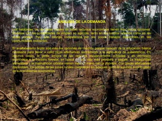 ANALISIS DE LA DEMANDA

Los habitantes de las áreas rurales de bajos recursos económicos tienen muy pocas opciones.
Escasas son las posibilidades de empleo no agrícola, tanto en los centros urbanos como en las
áreas rurales. Hay una intensa competencia por los pocos trabajos disponibles en las
oportunidades existentes.

El analfabetismo limita aún más las opciones de muchos porque carecen de la educación básica
necesaria para llevar a cabo otras alternativas económicas a la agricultura de subsistencia. En
algunos casos, la gente emigra de las regiones excesivamente pobladas y en depresión
económica a la frontera forestal, en busca de una vida más próspera y segura. La inseguridad
alimentaria y la malnutrición crónica vienen mano a mano con la pobreza. Con pocas alternativas
disponibles, los pobres de las zonas rurales consideran los bosques como la solución a corto plazo
de sus problemas económicos
 