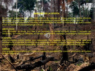 ANALISIS DE LA OFERTA

En el mundo actualmente hay unas 4.000 millones de hectáreas de bosque presentes en los diferentes
continentes, de esta manera la superficie mundial cubierta por bosques representa el 30% del total.
En el mundo y principalmente en Colombia existen diversidad de arboles a continuación se dará a conocer
el tipo de madera y el uso comercial que se le da:

ABETO ROJO
Usos principales: se presta muy bien a ser elaborado, es posible encolarlo, pintarlo y barnizarlo sin
dificultades. Se emplea en interiores, en trabajos de carpintería, embalajes, pavimentos y contrachapados

CASTAÑO
Usos principales: óptima madera para elaboración, muy resistente a la intemperie, y es apta para
construcciones al aire libre. Es utilizado para mediacañas, muebles, envigado, traviesas, duelas, ventanas y
se pueden obtener también marqueterías. Es muy rico de tanino, utilizado para el curtido de las pieles.

CEREZO
Usos principales: es empleado para todos los trabajos de ebanistería fine y para la construcción de muebles
de valor Entre otros
 