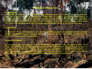 PROCESO PRODUCTIVO

La agricultura
La agricultura migratoria, que se practica en pequeñas parcelas, es tal vez la que menos influencia
ambiental ha tenido, ya que la capacidad de regeneración de bosques secundarios. Sin embargo la
productividad de la mayoría de los productos no justifica la deforestación. El café tiene en la mayoría de
los países una productividad de apenas 10 q por hectárea y el cacao entre 500 y 700 Kg, cifras que han
sido hasta cuadruplicadas con el uso de sistemas agroforestales y sistemas de manejo de suelos.

La ganadería

La deforestación con fines ganaderos, con el apoyo crediticio e incentivos estatales, ha sido el mayor
causante de la deforestación. Todas las áreas extensas, que son las más difíciles de regenerar con
bosque secundario, son áreas ganaderas.

La industria forestal

La industria forestal, selectiva por motivos de mercado, ha extraído sólo una pequeña parte de la
madera de las áreas ya deforestadas. Se calcula que del potencial total sólo se ha aprovechado un
20%, el resto fue convertido en cenizas. Sin embargo, hay que aclarar, que la actividad forestal en sí no
es la depredadora. Los concesionarios forestales realizaron, en base a su ocupación territorial, un
negociado con los terrenos adjudicados, que proporcionó la posterior deforestación.
 