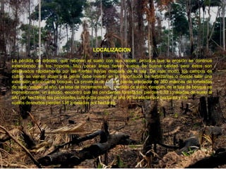 LOCALIZACION

La pérdida de árboles, que retienen el suelo con sus raíces, provoca que la erosión se continúe
extendiendo en los trópicos. Muy pocas áreas tienen suelos de buena calidad pero éstos son
deslavados rápidamente por las fuertes lluvias después de la tala. De este modo, los campos de
cultivo se vienen abajo y la gente debe invertir en la importación de fertilizantes o decide talar una
extensión adicional de bosque. La provincia de Ocaña pierde alrededor de 360 millones de toneladas
de suelo valioso al año. La tasa de incremento en la pérdida de suelo, después de la tala de bosque es
impresionante; un estudio, encontró que las pendientes forestadas pierden 0.03 toneladas de suelo al
año por hectárea; las pendientes cultivadas pierden al año 90 toneladas por hectárea y los
suelos desnudos pierden 138 toneladas por hectárea.
 