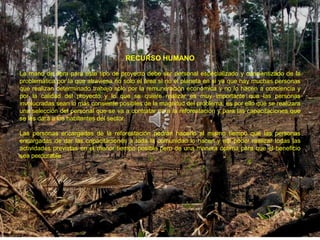 RECURSO HUMANO

La mano de obra para este tipo de proyecto debe ser personal especializado y concientizado de la
problemática por la que atraviesa no solo el área si no el planeta en si ya que hay muchas personas
que realizan determinado trabajo solo por la remuneración económica y no lo hacen a conciencia y
por la calidad del proyecto y lo que se quiere realizar es muy importante que las personas
involucradas sean lo más consiente posibles de la magnitud del problema, es por ello que se realizara
una selección del personal que se va a contratar para la reforestación y para las capacitaciones que
se les dará a los habitantes del sector.

Las personas encargadas de la reforestación podrán hacerlo al mismo tiempo que las personas
encargadas de dar las capacitaciones a toda la comunidad lo hacen y así poder realizar todas las
actividades previstas en el menor tiempo posible pero de una manera óptima para que el beneficio
sea perdurable
 