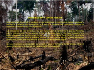 DISTRIBUCION Y OBRAS FISICAS

Una buena distribución de la planta es la que proporciona condiciones de trabajo aceptable y
permite la operación más económica, a la vez que mantiene las condiciones óptimas de
seguridad y bienestar para los trabajadores

Las actividades de este proyecto en su gran mayoría son de campo por lo cual las funciones
que se realicen serán en las afueras de las instalaciones base lo cual hace necesario una
buena distribución de las funciones de los cargos y de la planta física dentro y fuera de la
instalación base para evitar el malgaste tanto de tiempo como de espacio y poder aprovechar
los recursos con los que se cuenta de la manera más eficazmente posible.

Se hace necesaria la contratación de un camión para el transporte de los arboles desde el
punto de adquisición de los mismos hasta el punto de la operación.
 