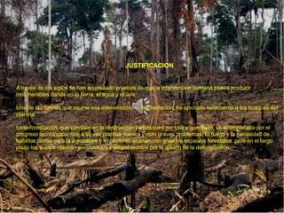 JUSTIFICACION


A través de los siglos se han acumulado pruebas de que la intervención humana puede producir
innumerables daños en la tierra, el agua y el aire.

Una de las formas que asume esa intervención, la deforestación, ha afectado seriamente a los bosques del
planeta.

La deforestación, que consiste en la destrucción de bosques por tala o quemado, va acompañada por el
progreso tecnológico, que a su vez plantea nuevos y más graves problemas. El fuego y la necesidad de
habilitar tierras para la agricultura y el pastoreo arrasan con grandes espacios forestales, pero en el largo
plazo los suelos resultan erosionados y empobrecidos por la acción de la deforestación .
 