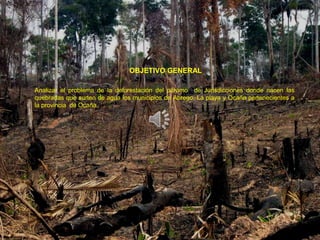 OBJETIVO GENERAL

Analizar el problema de la deforestación del páramo de Jurisdicciones donde nacen las
quebradas que surten de agua los municipios de Abrego, La playa y Ocaña pertenecientes a
la provincia de Ocaña.
 