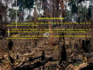 OBJETIVOS ESPECIFICOS

     Determinar el conocimiento que posee la comunidad de la provincia de Ocaña, acerca de la
educación ambiental y la deforestación.

     Identificar si se han adoptado o no medidas o acciones para combatir el problema de la
deforestación de los páramos en la provincia de Ocaña, así como las causas que las han motivado.

     Determinar los aportes que puede realizar la comunidad para combatir el problema de la
deforestación en la provincia de Ocaña.
 