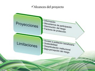 Alcances del proyecto
 
