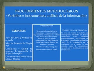 PROCEDIMIENTOS METODOLÓGICOS
(Variables e instrumentos, análisis de la información)
VARIABLES
Nivel de Oferta y Producción
acuícola
Nivel de demanda de Tilapia
roja
Condiciones y calidad de
procesos de producción de
tilapia en la región.
Crecimiento del sector en las
ultimas décadas
INSTRUMENTOS
En los estudio cualitativas se
considera el instrumento mas
importante al investigador por tanto
este puede utilizar diferentes
técnicas para recoger la
información. En este trabajo de
investigación se utilizaron las
siguientes técnicas
Observación del participante
Entrevista semi-estructurada
ANALISIS DE LA INFORMACION
Se tuvo en cuenta el material de
investigación obtenido en fuente
secundarias como entidades
gubernamentales, asociaciones de
acuicultura y recolección realizada a
través de la observación de la
producción en la región lo que
permitió sacar la conclusiones
expuesta en el transcursos de esta
presentación
 