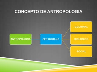 CONCEPTO DE ANTROPOLOGIA


                            CULTURAL




ANTROPOLOGIA   SER HUMANO   BIOLOGICO




                             SOCIAL
 