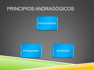 PRINCIPIOS ANDRAGÓGICOS

                 Horizontalidad




     Participación                flexibilidad
 