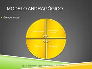 MODELO ANDRAGÓGICO
 Componentes




                                                                   Participante
                                     Participantes
                                                                     Adulto




                                         Entorno                    Andragogo




                MA L C O L M K N O W L E S " L A P R Á C T I C A MO D E R N A D E E D U C A C I Ó N D E
                ADULTOS", ESTADOS UNIDOS, 1970.
 