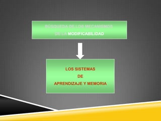 BÚSQUEDA DE LOS MECANISMOS
   DE LA MODIFICABILIDAD




       LOS SISTEMAS
            DE
   APRENDIZAJE Y MEMORIA
 