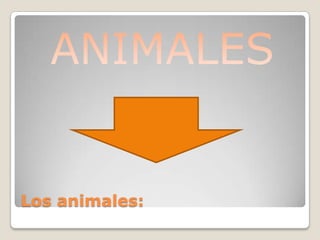 Los animales:
 