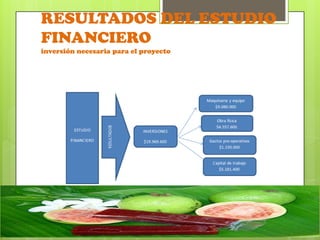 RESULTADOS DEL ESTUDIO
FINANCIERO
inversión necesaria para el proyecto
 