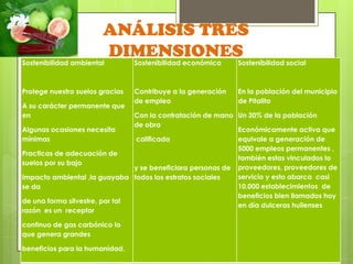 ANÁLISIS TRES
                       DIMENSIONES
Sostenibilidad ambiental         Sostenibilidad económica     Sostenibilidad social



Protege nuestro suelos gracias   Contribuye a la generación   En la población del municipio
                                 de empleo                    de Pitalito
A su carácter permanente que
en                              Con la contratación de mano Un 30% de la población
                                de obra
Algunas ocasiones necesita                                   Económicamente activa que
mínimas                         calificada                   equivale a generación de
                                                             5000 empleos permanentes ,
Practicas de adecuación de
                                                             también estas vinculados lo
suelos por su bajo
                                y se beneficiara personas de proveedores, proveedores de
Impacto ambiental ,la guayaba todos los estratos sociales    servicio y esto abarca casi
se da                                                        10.000 establecimientos de
                                                             beneficios bien llamados hoy
de una forma silvestre, por tal
                                                             en día dulceras huilenses
razón es un receptor

continuo de gas carbónico lo
que genera grandes

beneficios para la humanidad.
 