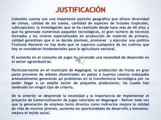JUSTIFICACIÓN
Colombia cuenta con una importante posición geográfica que ofrece diversidad
de climas, calidad de los suelos, cantidad de especies de frutales tropicales,
subtropicales; la investigación que se ha realizado desde hace más de 60 años y
que ha generado numerosos paquetes tecnológicos, el gran número de técnicos
formados y los viveros especializados en producción de material de primera,
calidad garantizan que si se decide plantear, promover y ejecutar una política
Frutícola Nacional no hay duda que se superara cualquiera de los cultivos que
hoy se consideran fundamentales para la agricultura nacional.

El aumento en el consumo de jugos ha generado una necesidad de desarrollo en
el sector agroindustrial.

Particularmente en el municipio de Magangué, la producción de frutas en gran
parte proviene de árboles diseminados en patios o huertos caseros trabajados
artesanalmente generando así problemas en la transferencia tecnológica por no
poder llegar a un amplio sector de pequeños productores, los cuales han
sembrado sin ningún tipo de criterio.

De lo anterior se desprende la necesidad y la importancia de implementar el
proyecto de Comercialización de jugos naturales en Magangué – Bolívar toda vez
que la generación de empleos tanto directos como indirectos mejora la calidad
de vida de muchos jóvenes, aumenta las oportunidades de desarrollo y bienestar,
mejora el tejido social.
 