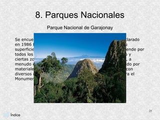 8. Parques Nacionales
                  Parque Nacional de Garajonay

  Se encuentra en La Gomera. Fué creado en 1981 y declarado
  en 1986 Patrimonio de la Humanidad por la Unesco. Su
  superficie es de 3.986 hectáreas, y su territorio se extiende por
  todos los municipios de La Gomera, ocupando el centro y
  ciertas zonas del norte de la isla. El terreno del parque, a
  menudo envuelto en una húmeda niebla, está constituido por
  materiales basálticos, debidos a coladas y piroclastos, con
  diversos roques y fortalezas. En su interior se encuentra el
  Monumento de la esencia de la flor.




                                                                      25
Índice
 
