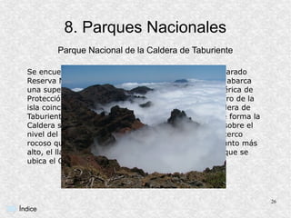 8. Parques Nacionales
          Parque Nacional de la Caldera de Taburiente

  Se encuentra en La Palma. Fue creado en 1954 y declarado
  Reserva Mundial de la Biosfera en 2002. Actualmente abarca
  una superficie de 46,9 km², que junto a la Zona Periférica de
  Protección comprende 59,56 km². Se ubica en el centro de la
  isla coincidiendo con la formación geológica de la Caldera de
  Taburiente, de 7 km de eje máximo. La depresión que forma la
  Caldera se encuentra entre los 600 y los 900 metros sobre el
  nivel del mar, mientras que la crestería que forma el cerco
  rocoso que la rodea alcanza los 2.424 metros en el punto más
  alto, el llamado Roque de los Muchachos, lugar en el que se
  ubica el Observatorio del Roque de los Muchachos.




                                                                  26
Índice
 