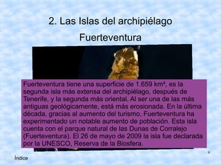 2. Las Islas del archipiélago
                     Fuerteventura



   Fuerteventura tiene una superficie de 1.659 km², es la
   segunda isla más extensa del archipiélago, después de
   Tenerife, y la segunda más oriental. Al ser una de las más
   antiguas geológicamente, está más erosionada. En la última
   década, gracias al aumento del turismo, Fuerteventura ha
   experimentado un notable aumento de población. Esta isla
   cuenta con el parque natural de las Dunas de Corralejo
   (Fuerteventura). El 26 de mayo de 2009 la isla fue declarada
   por la UNESCO, Reserva de la Biosfera.
                                                                  9
Índice
 