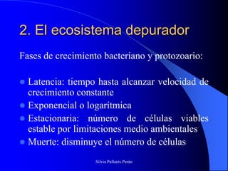 2. El ecosistema depurador
Fases de crecimiento bacteriano y protozoario:

 Latencia: tiempo hasta alcanzar velocidad de
  crecimiento constante
 Exponencial o logarítmica
 Estacionaria: número de células viables
  estable por limitaciones medio ambientales
 Muerte: disminuye el número de células

                   Silvia Pallarés Perán
 