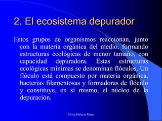 2. El ecosistema depurador
Estos grupos de organismos reaccionan, junto
  con la materia orgánica del medio, formando
  estructuras ecológicas de menor tamaño, con
  capacidad depuradora. Estas estructuras
  ecológicas mínimas se denominan flóculos. Un
  flóculo está compuesto por materia orgánica,
  bacterias filamentosas y formadoras de flóculo
  y constituye, en sí mismo, el núcleo de la
  depuración.

                   Silvia Pallarés Perán
 