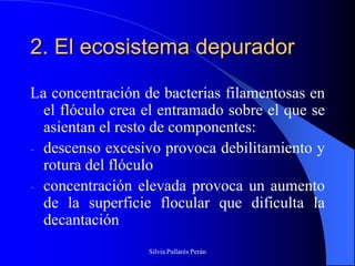 2. El ecosistema depurador

La concentración de bacterias filamentosas en
  el flóculo crea el entramado sobre el que se
  asientan el resto de componentes:
- descenso excesivo provoca debilitamiento y
  rotura del flóculo
- concentración elevada provoca un aumento
  de la superficie flocular que dificulta la
  decantación
                  Silvia Pallarés Perán
 