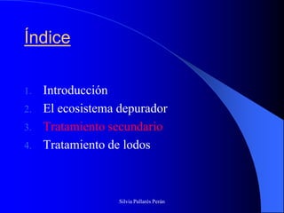 Índice

1.   Introducción
2.   El ecosistema depurador
3.   Tratamiento secundario
4.   Tratamiento de lodos



                   Silvia Pallarés Perán
 