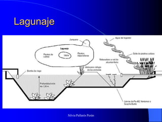 Lagunaje




           Silvia Pallarés Perán
 