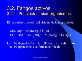 3.2. Fangos activos
3.2.1. Principales microorganismos

El mecanismo general del sistema de fangos activos:

  Mat. Org. + Microorg. + O2
  CO2 + H2O + NH3/NH4+ + Microorg. + Energía

La biodegradación la llevan a cabo              los
  microorganismos que forman el flóculo


                    Silvia Pallarés Perán
 