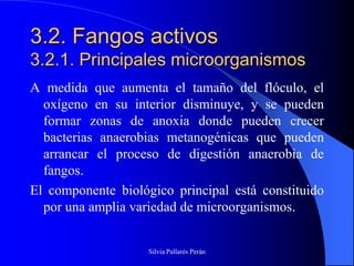 3.2. Fangos activos
3.2.1. Principales microorganismos
A medida que aumenta el tamaño del flóculo, el
  oxígeno en su interior disminuye, y se pueden
  formar zonas de anoxia donde pueden crecer
  bacterias anaerobias metanogénicas que pueden
  arrancar el proceso de digestión anaerobia de
  fangos.
El componente biológico principal está constituido
  por una amplia variedad de microorganismos.


                    Silvia Pallarés Perán
 
