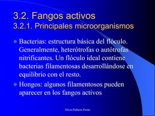 3.2. Fangos activos
3.2.1. Principales microorganismos
 Bacterias: estructura básica del flóculo.
  Generalmente, heterótrofas o autótrofas
  nitrificantes. Un flóculo ideal contiene
  bacterias filamentosas desarrollándose en
  equilibrio con el resto.
 Hongos: algunos filamentosos pueden
  aparecer en los fangos activos

                  Silvia Pallarés Perán
 