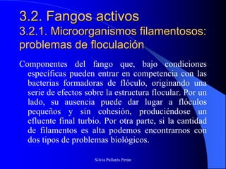 3.2. Fangos activos
3.2.1. Microorganismos filamentosos:
problemas de floculación
Componentes del fango que, bajo condiciones
  específicas pueden entrar en competencia con las
  bacterias formadoras de flóculo, originando una
  serie de efectos sobre la estructura flocular. Por un
  lado, su ausencia puede dar lugar a flóculos
  pequeños y sin cohesión, produciéndose un
  efluente final turbio. Por otra parte, si la cantidad
  de filamentos es alta podemos encontrarnos con
  dos tipos de problemas biológicos.

                      Silvia Pallarés Perán
 
