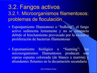 3.2. Fangos activos
3.2.1. Microorganismos filamentosos:
problemas de floculación
   Esponjamiento filamentoso o “bulking”: el fango
    activo sedimenta lentamente y no se compacta
    debido al hinchamiento provocado por la excesiva
    proliferación de bacterias filamentosas

   Espumamiento biológico o “foaming”: los
    microorganismos filamentosos producen una
    espesa espuma coloreada (de blanco a marrón) y
    abundantes flotantes en la decantación secundaria
                      Silvia Pallarés Perán
 