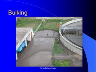 Bulking




          Silvia Pallarés Perán
 