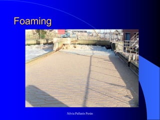 Foaming




          Silvia Pallarés Perán
 