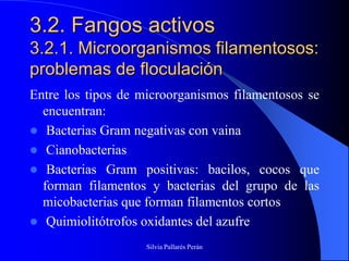 3.2. Fangos activos
3.2.1. Microorganismos filamentosos:
problemas de floculación
Entre los tipos de microorganismos filamentosos se
  encuentran:
 Bacterias Gram negativas con vaina
 Cianobacterias
 Bacterias Gram positivas: bacilos, cocos que
  forman filamentos y bacterias del grupo de las
  micobacterias que forman filamentos cortos
 Quimiolitótrofos oxidantes del azufre

                    Silvia Pallarés Perán
 