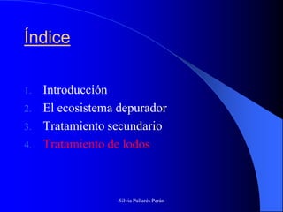 Índice

1.   Introducción
2.   El ecosistema depurador
3.   Tratamiento secundario
4.   Tratamiento de lodos



                   Silvia Pallarés Perán
 