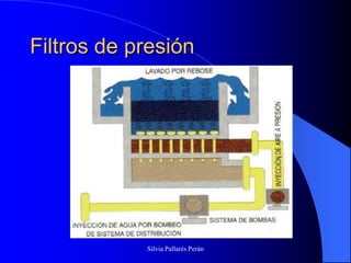 Filtros de presión




            Silvia Pallarés Perán
 