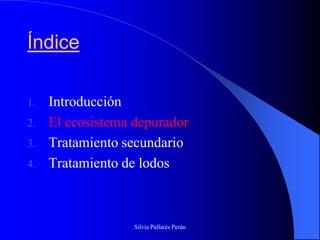 Índice

1.   Introducción
2.   El ecosistema depurador
3.   Tratamiento secundario
4.   Tratamiento de lodos



                   Silvia Pallarés Perán
 